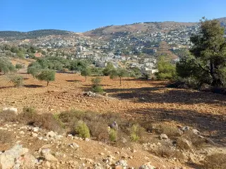 Land for sale in A'anjara – photo 10