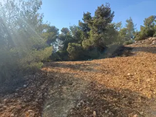 Land for sale in A'anjara – photo 5