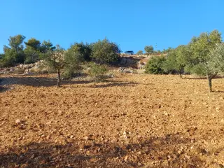 Land for sale in A'anjara – photo 4