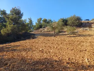 Land for sale in A'anjara – photo 3