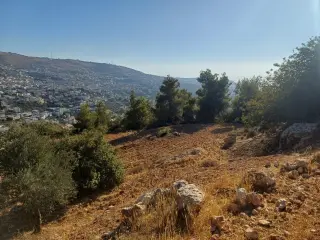 Land for sale in A'anjara – photo 9