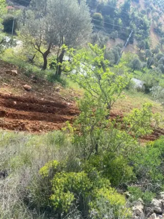 أرض للبيع في A'anjara – صورة 2