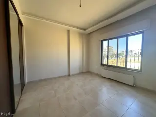 الصورة 4 من 12