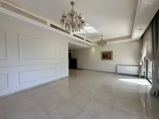 الصورة 12 من 12
