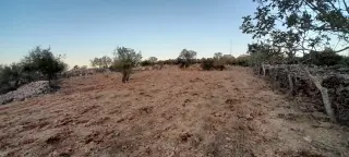 Land for sale in A'fna