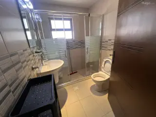 الصورة 6 من 8