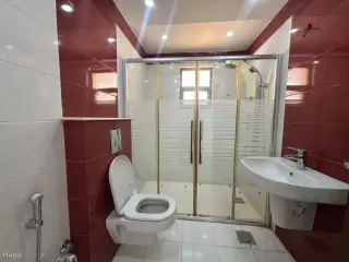 الصورة 11 من 12