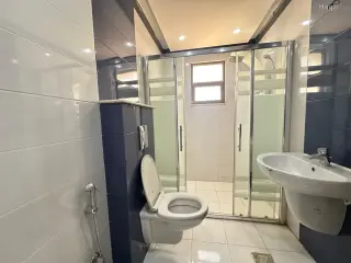 الصورة 12 من 12