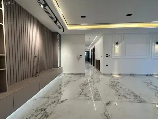 الصورة 12 من 12