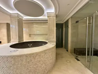 الصورة 11 من 12