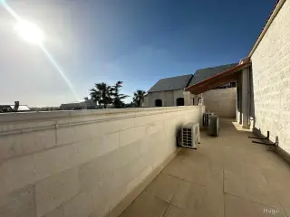 الصورة 8 من 12