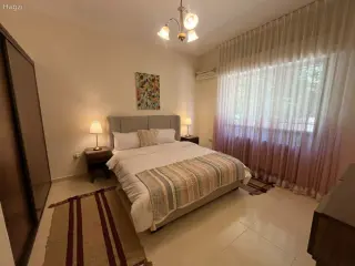 الصورة 6 من 11