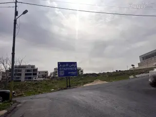 الصورة 2 من 3