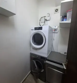 الصورة 11 من 12