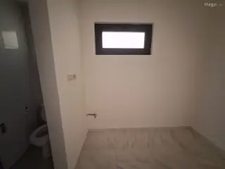 الصورة 7 من 8