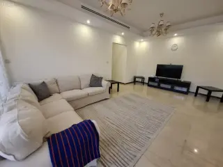 الصورة 7 من 12