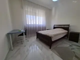 الصورة 2 من 12