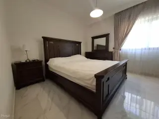الصورة 6 من 12