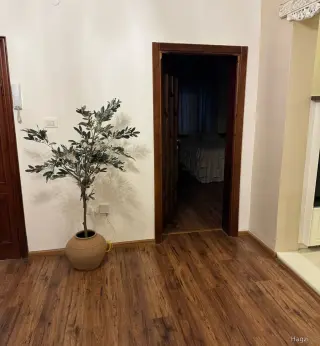 الصورة 9 من 12