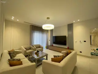 الصورة 3 من 12
