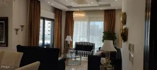الصورة 4 من 11