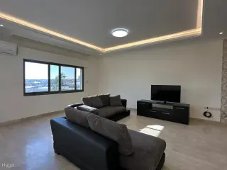 الصورة 1 من 12