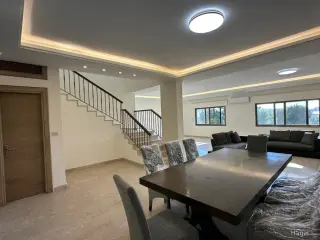 الصورة 4 من 12