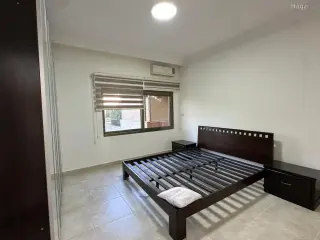 الصورة 8 من 12