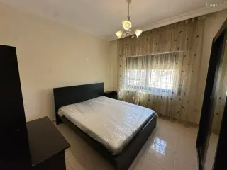الصورة 7 من 11