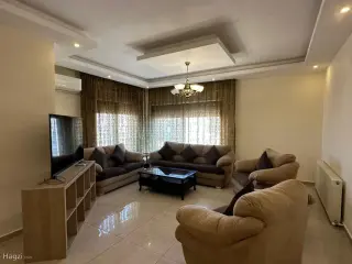 الصورة 11 من 11