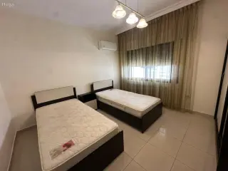 الصورة 8 من 11