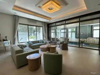 الصورة 6 من 12