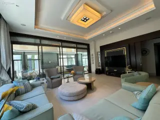 الصورة 7 من 12