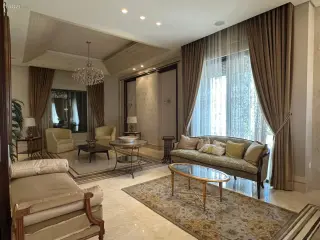 الصورة 1 من 12