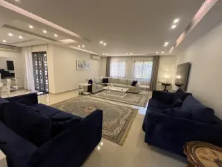 الصورة 5 من 12