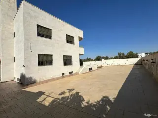 الصورة 1 من 12