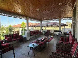 الصورة 8 من 12