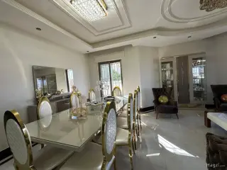الصورة 11 من 12