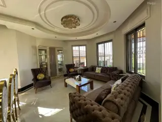 الصورة 10 من 12