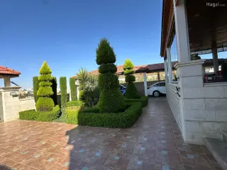 الصورة 4 من 12
