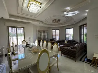 الصورة 12 من 12