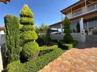 الصورة 7 من 12