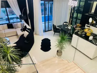 الصورة 10 من 11