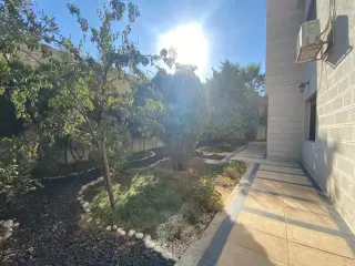 الصورة 5 من 12