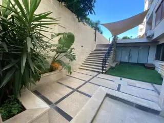 الصورة 9 من 12