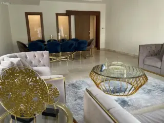 الصورة 12 من 12