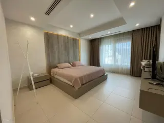 الصورة 8 من 12