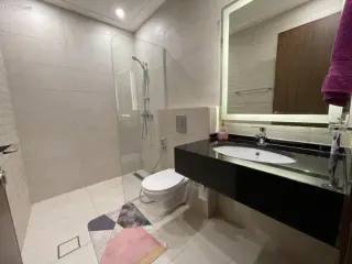 الصورة 10 من 12