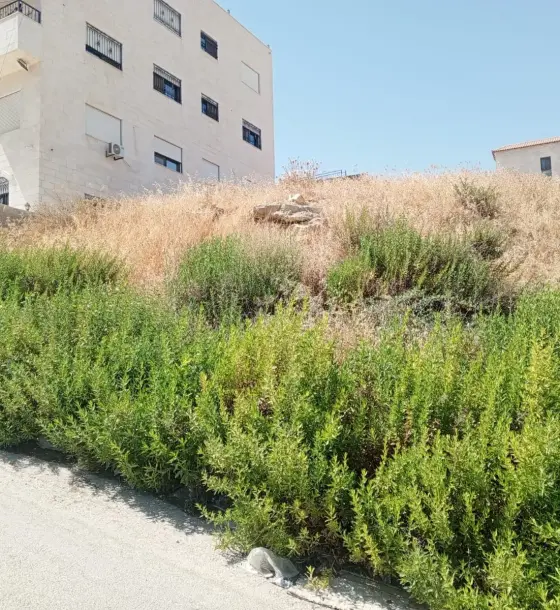 582 m² corner plot on two streets for sale in Agricultural Engineers Housing, Abu Nsair