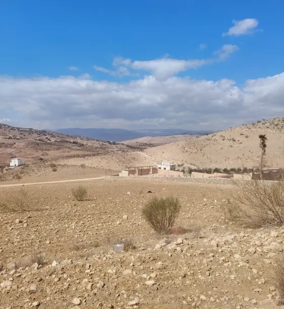 4 dunums of farmland in Sarout, near-level with a view